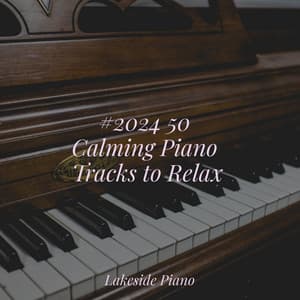 #2024 50 Calming Piano Tracks to Relax - SD