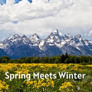 Spring Meets Winter - Tranquility Spree