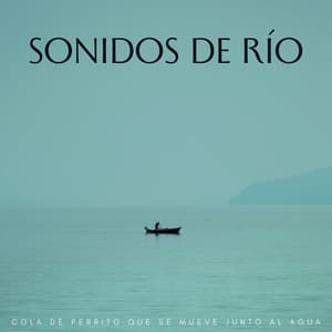 Sonidos De Río: Cola De Perrito Que Se Mueve Junto Al Agua - Efectos de agua