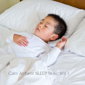Calm Ambient SLEEP Music Vol. 1 - Sleep Tech