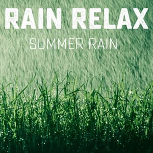 Summer Rain - Rain relax