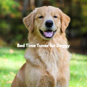 Bed Time Tunes for Doggy - Calming Dog Jazz Classics