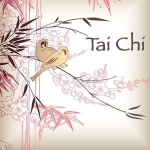 Tai Chi: Relaxing Music for Tai Chi Chuan, Reiki, Yoga and Meditation, Traditional Chinese Music - Tai Chi Chuan