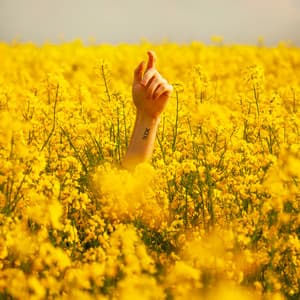 10 Stages To Meditation: Between Days - between waves