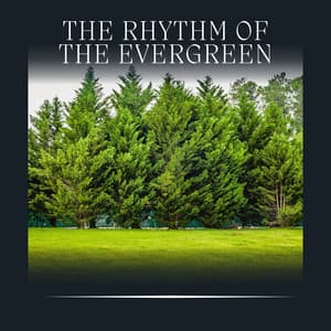 The Rhythm of the Evergreen - Nature Label