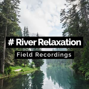 # River Relaxation - Field Recordings