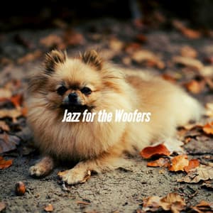 Jazz for the Woofers - Relaxing Dog Music Playlists