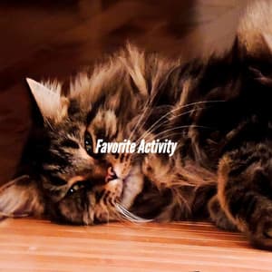 Favorite Activity - Lunch Time Jazz