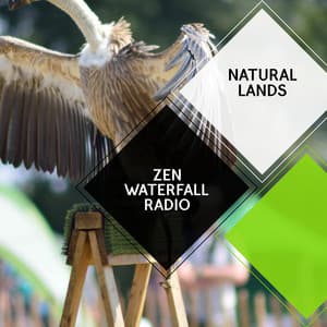 Zen Waterfall Radio - Natural Lands - Sleepy Times