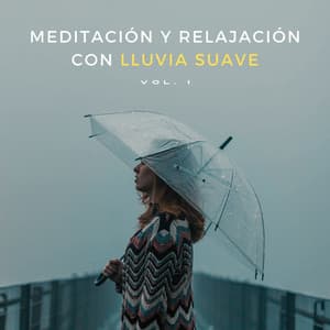 Meditación Y Relajación Con Lluvia Suave Vol. 1 - Meditación Lluvia Sonidos