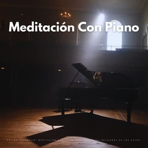 Retiro Tranquilo: Meditación Con Piano Para Momentos Relajados De Los Gatos - Cubiertas antipolvo para piano