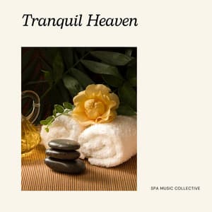 Tranquil Haven: Spa Music - Spa Music Collective