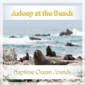 Asleep at the Beach: Naptime Ocean Sounds - Ocean Waves for Meditation