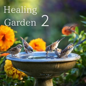 Healing Garden 2 - Healing Piano JAPAN