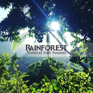 Rainforest Natural Soft Sounds - Auge Espiritual