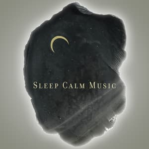 Sleep Calm Music: Pure Relaxation after Nightfall - Deep Sleep Hypnosis Masters