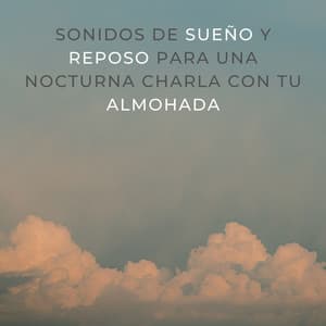 Sonidos De Sueño Y Reposo Para Una Nocturna Charla Con Tu Almohada - Reiki Consorte de Curación