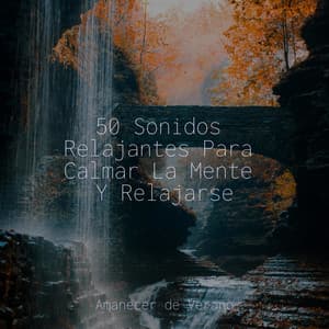 50 Sonidos Relajantes Para Calmar La Mente Y Relajarse - Musica Relajante Specialistas & Musica Relajante