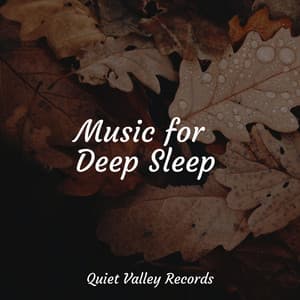 Music for Deep Sleep - Kinderlieder-Superstar