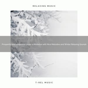 Prosperity and Happiness Under a Mistletoe with Nice Melodies and Winter Relaxing Sounds - Christmas Moods