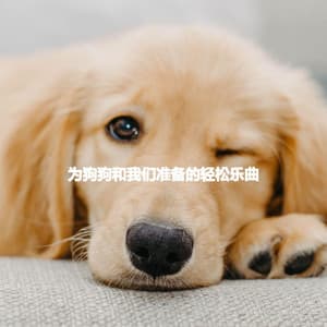 为狗狗和我们准备的轻松乐曲 - Latin Jazz Instrumental