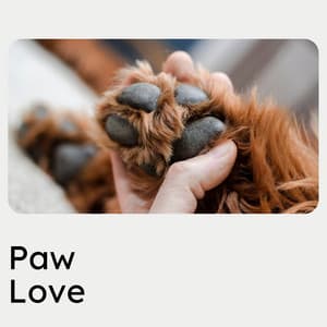 Paw Love - Dog Music