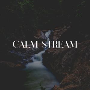 Calm Stream - Relaxing Medicine