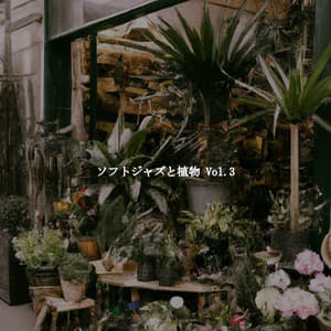 ソフトジャズと植物 Vol.3 - Office Music Radio
