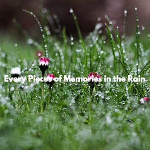 Every Pieces of Memories in the Rain - Sensual Jazz Trio