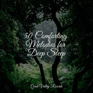 50 Comforting Melodies for Deep Sleep - Sounds Of Nature: Thunderstorm
