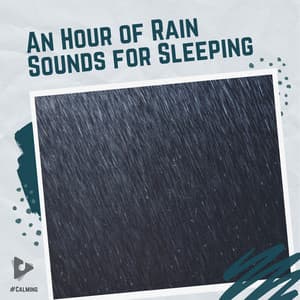 An Hour of Rain Sounds for Sleeping - #Calming