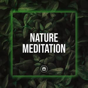 Nature Meditation - Rain Sounds Sleep