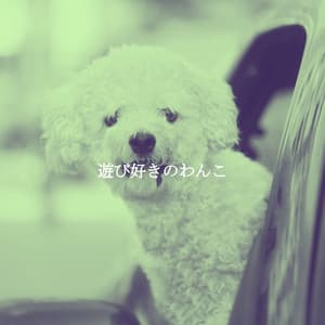 遊び好きのわんこ - Background Jazz Music