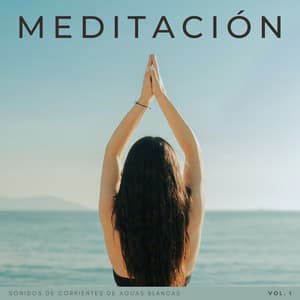 Meditación: Sonidos De Corrientes De Aguas Blancas Vol. 1 - Banco de sonidos de agua
