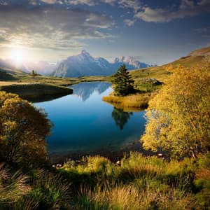 Notas Relajantes: Música Lofi Revelada - Muestras de alta frecuencia