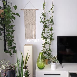 花に囲まれた朝 - Musica para Estudiar Ambiente