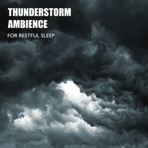 Thunderstorm Ambience for Restful Sleep - Robin Gardner