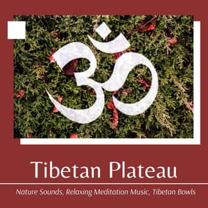 Tibetan Plateau: Nature Sounds, Relaxing Meditation Music, Tibetan Bowls - Tibetan Monks