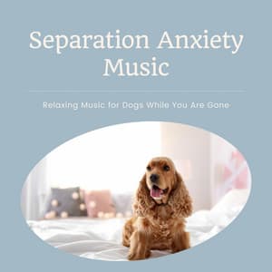 Separation Anxiety Music - Relaxing Music for Dogs While You Are Gone - Zen Buddhist Art