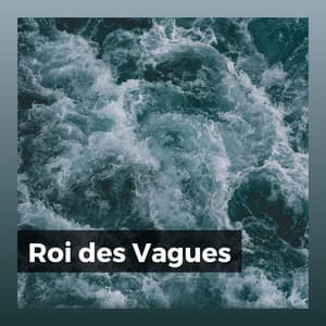 Roi des Vagues - Vagues Dans La Mer