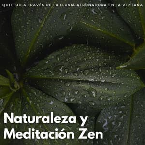 Naturaleza Y Meditación Zen: Quietud A Través De La Lluvia Atronadora En La Ventana - Cafetería Lofi