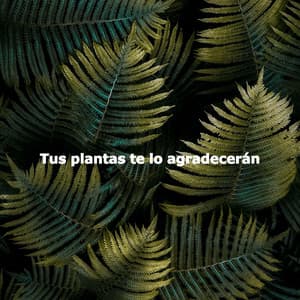 Tus plantas te lo agradecerán - #Calming