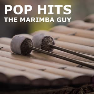 Pop Hits - Marimba Guy