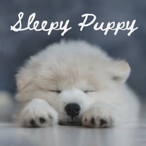 Sleepy Puppy: Gentle Piano for Dogs, Birds Sounds for Dog Relaxation - Pet Care Club