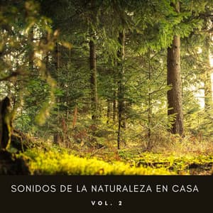 Sonidos De La Naturaleza En Casa Vol. 2 - Los paisajes sonoros de la naturaleza