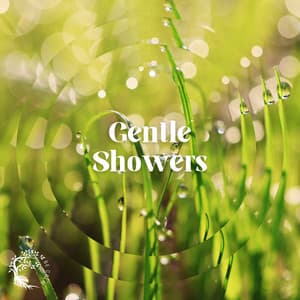 Gentle Showers - Emerald Ceiba