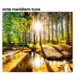 Ante Meridiem Tune - Deep Relaxation Meditation Academy