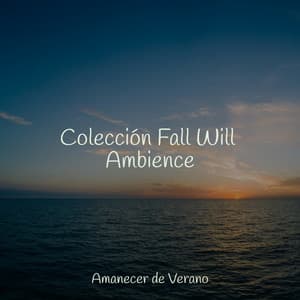 Colección Fall Will Ambience - Mantra para Dormir