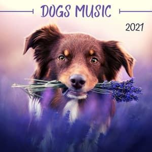 Dogs Music 2021: Relaxing Music to Calm your Pets, Stress Relief Sounds - Uma Gaye