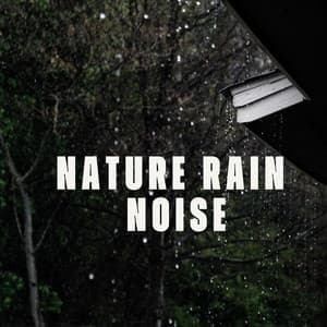 Nature Rain Sounds - Rain Sounds & White Noise